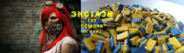 гашик Инта