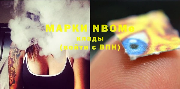 гашик Инта