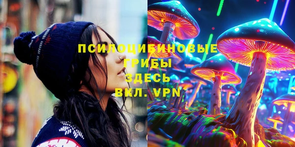 гашик Инта