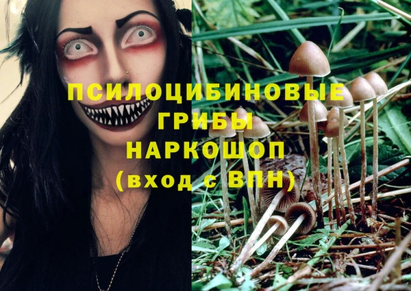 наркотики Инсар