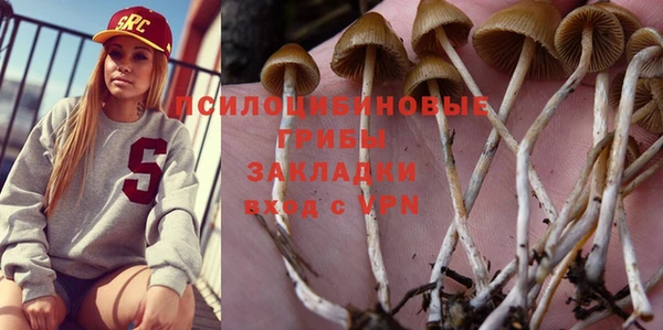 гашик Инта