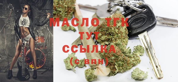 гашик Инта