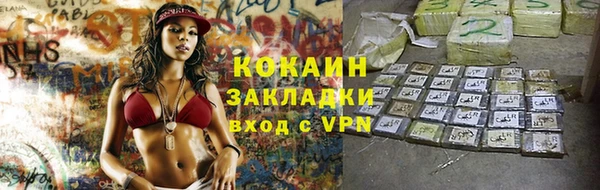 гашик Инта