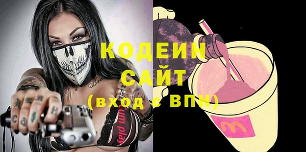 гашик Инта