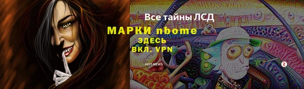 гашик Инта