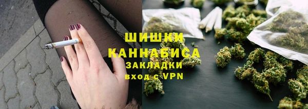 гашик Инта